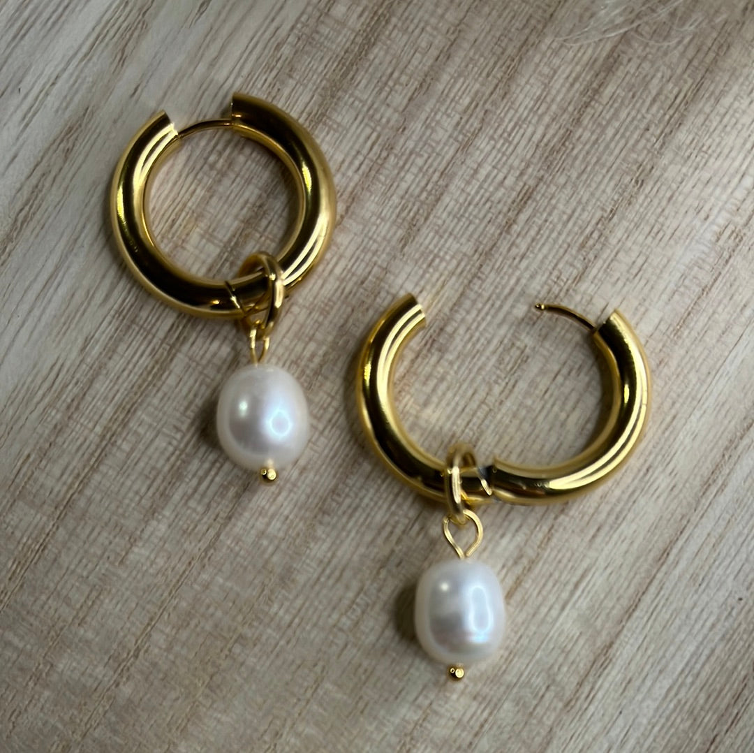 Stainless Steel Hoops with Pearl